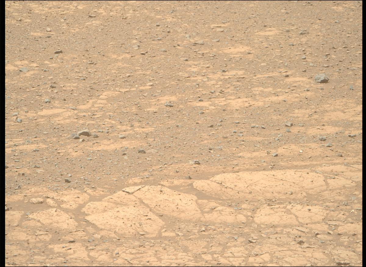 This image was taken by MCZ_RIGHT onboard NASA's Mars rover Perseverance on Sol 1469