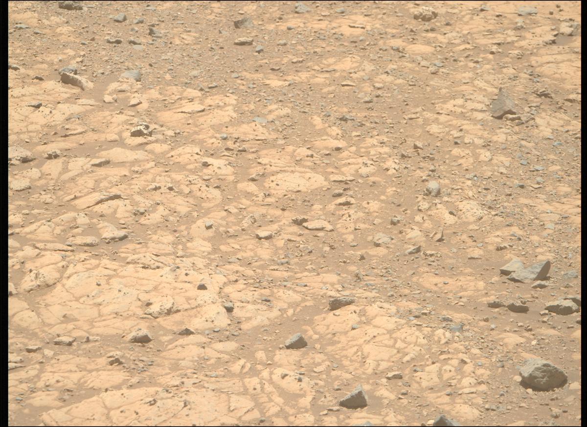 This image was taken by MCZ_RIGHT onboard NASA's Mars rover Perseverance on Sol 1469