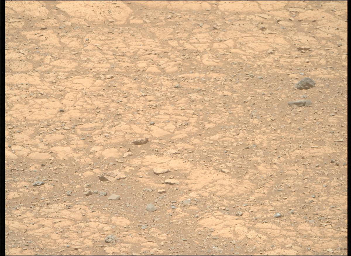 This image was taken by MCZ_RIGHT onboard NASA's Mars rover Perseverance on Sol 1469