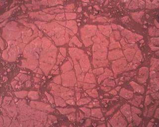 View image taken on Mars, Mars Perseverance Sol 1470: Rover Down-Look Camera