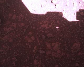 View image taken on Mars, Mars Perseverance Sol 1470: Rover Down-Look Camera