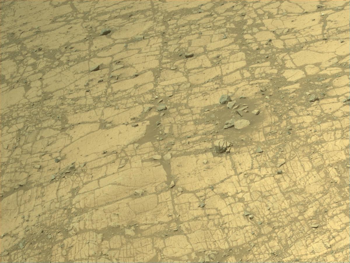 This image was taken by NAVCAM_RIGHT onboard NASA's Mars rover Perseverance on Sol 1470