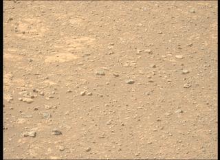 View image taken on Mars, Mars Perseverance Sol 1470: Left Mastcam-Z Camera