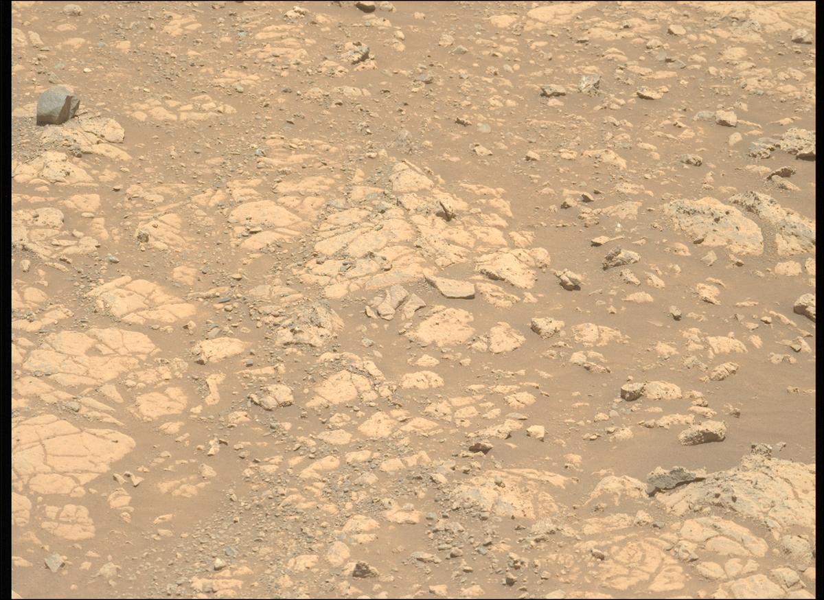 This image was taken by MCZ_LEFT onboard NASA's Mars rover Perseverance on Sol 1470