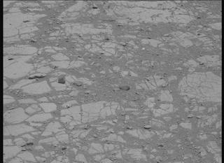 View image taken on Mars, Mars Perseverance Sol 1470: Left Mastcam-Z Camera