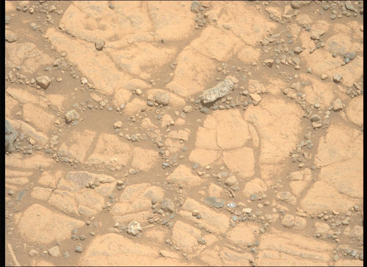 This image was taken by MCZ_LEFT onboard NASA's Mars rover Perseverance on Sol 1470