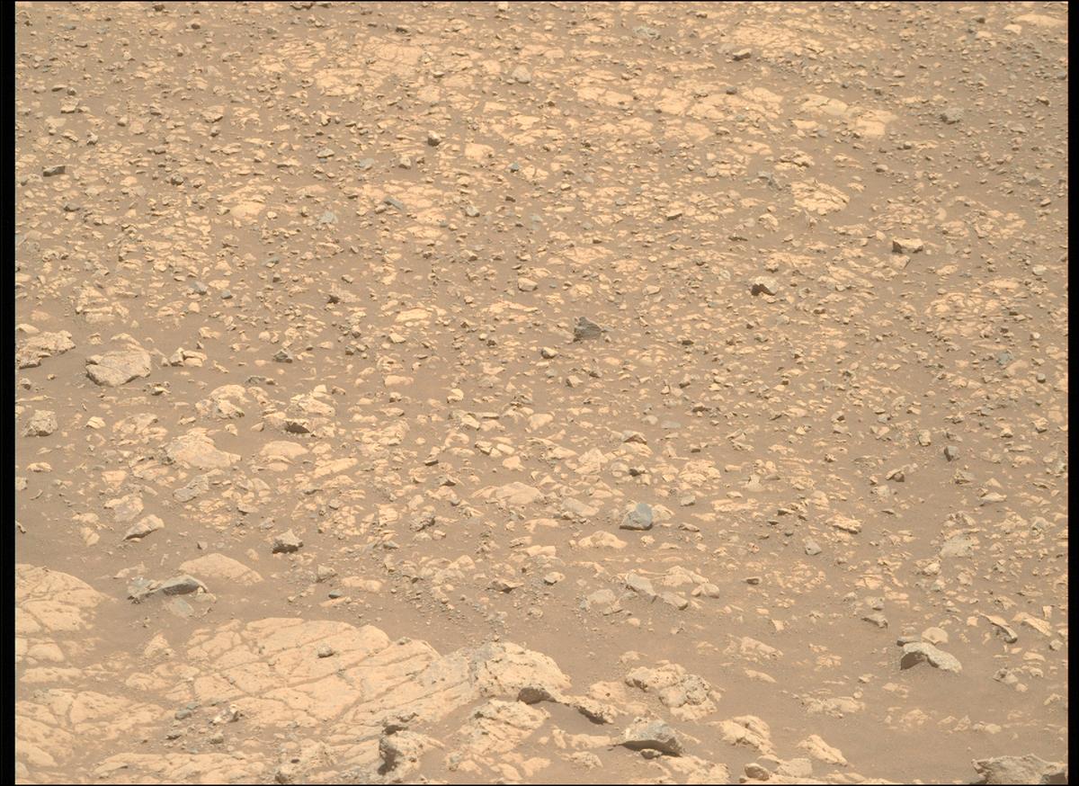 This image was taken by MCZ_RIGHT onboard NASA's Mars rover Perseverance on Sol 1470