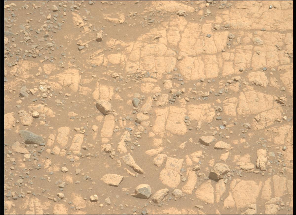 This image was taken by MCZ_LEFT onboard NASA's Mars rover Perseverance on Sol 1471