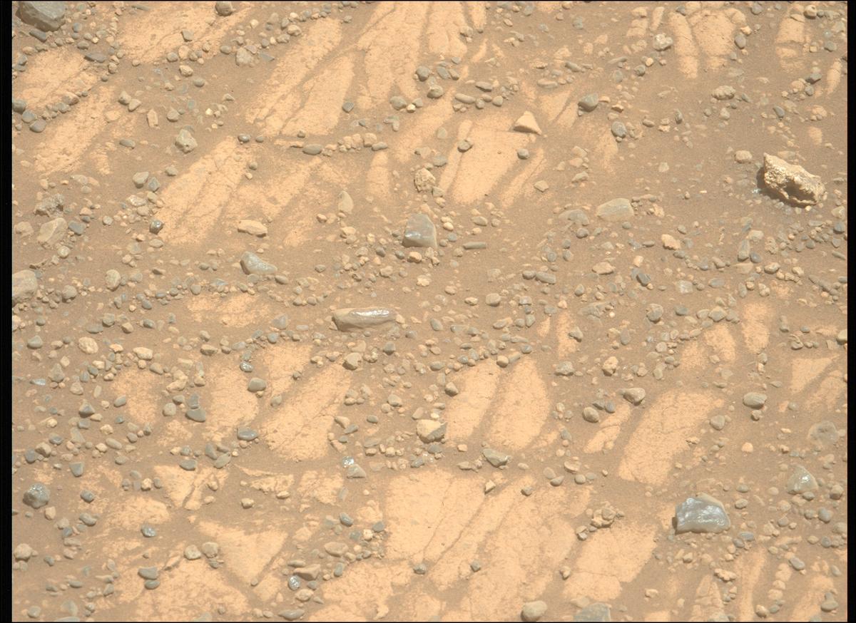 This image was taken by MCZ_LEFT onboard NASA's Mars rover Perseverance on Sol 1471