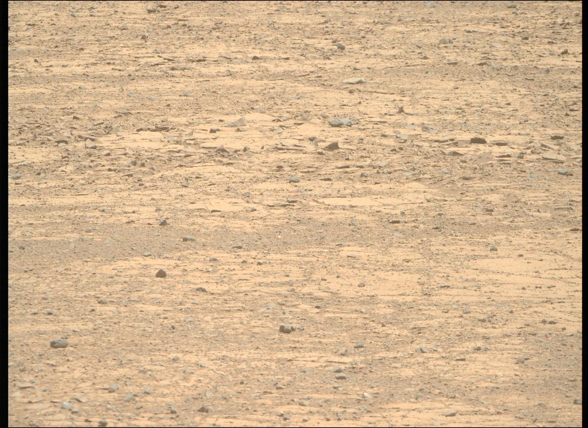 This image was taken by MCZ_RIGHT onboard NASA's Mars rover Perseverance on Sol 1471