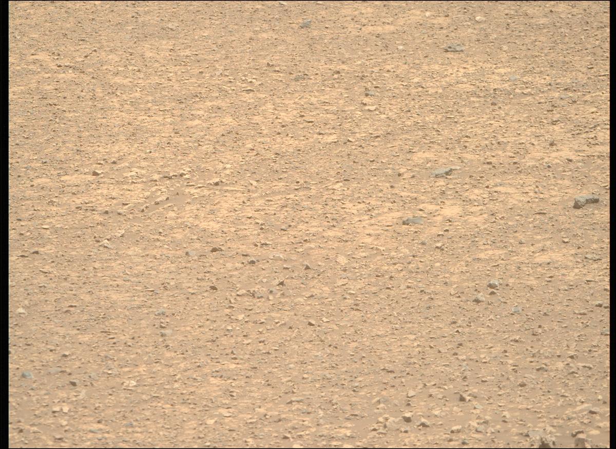 This image was taken by MCZ_RIGHT onboard NASA's Mars rover Perseverance on Sol 1471