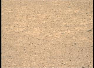 View image taken on Mars, Mars Perseverance Sol 1471: Right Mastcam-Z Camera