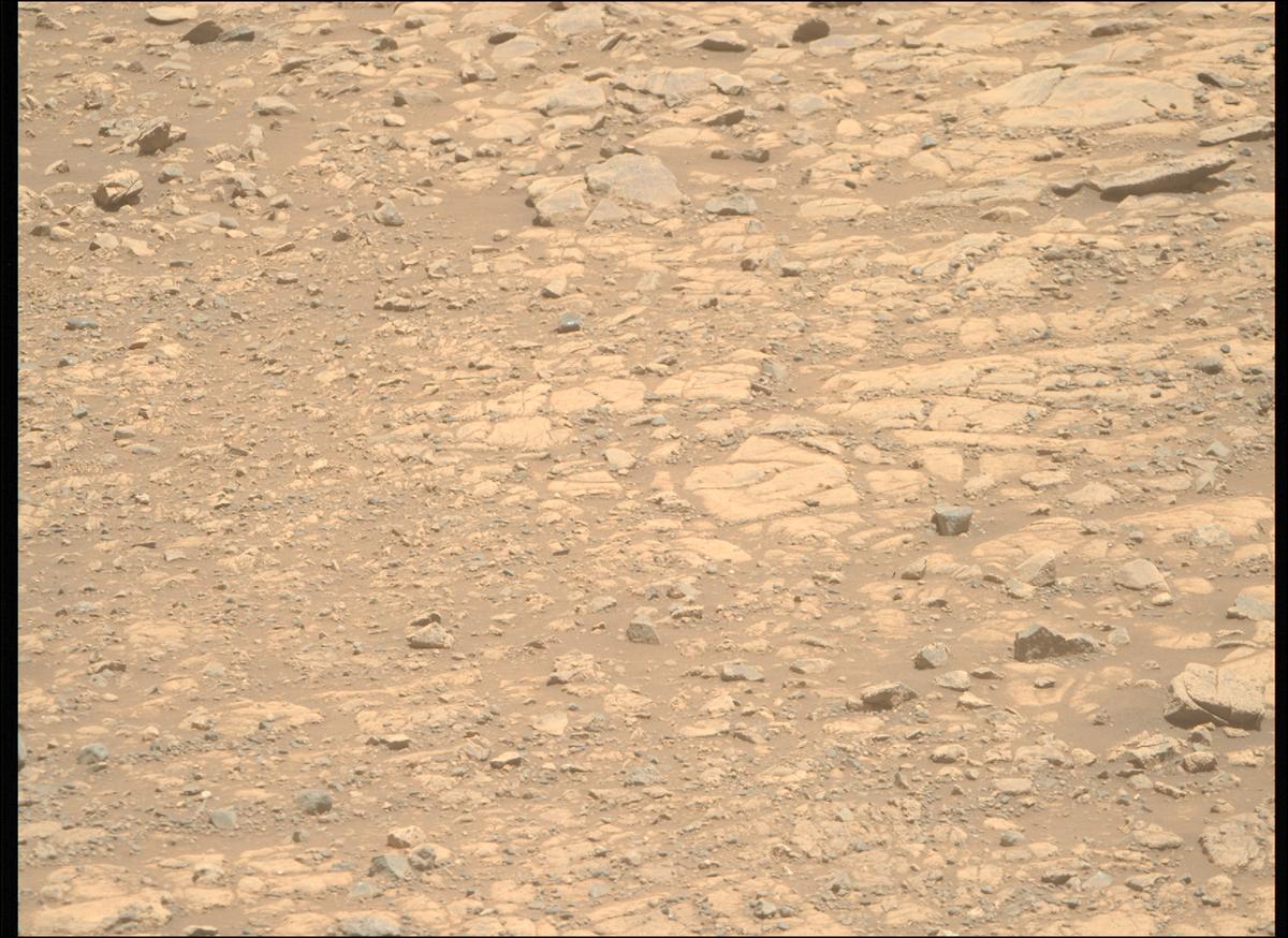 This image was taken by MCZ_RIGHT onboard NASA's Mars rover Perseverance on Sol 1471