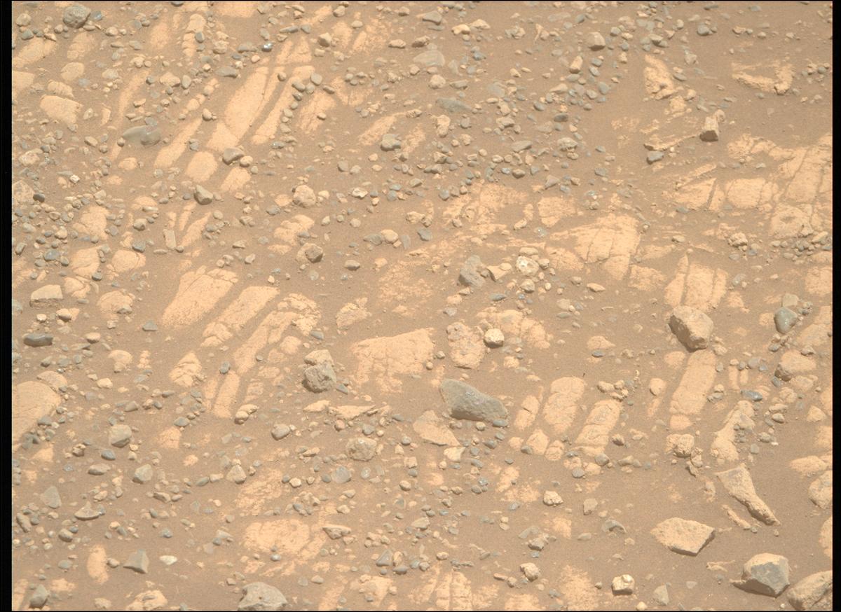 This image was taken by MCZ_RIGHT onboard NASA's Mars rover Perseverance on Sol 1471