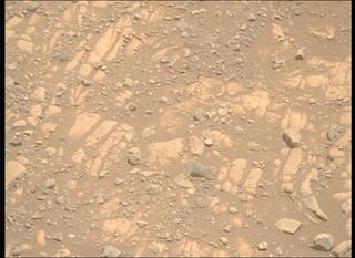 View image taken on Mars, Mars Perseverance Sol 1471: Right Mastcam-Z Camera
