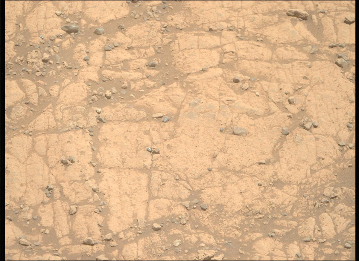 This image was taken by MCZ_RIGHT onboard NASA's Mars rover Perseverance on Sol 1471