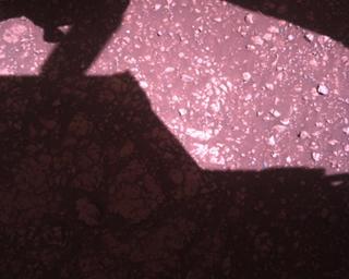 View image taken on Mars, Mars Perseverance Sol 1472: Rover Down-Look Camera