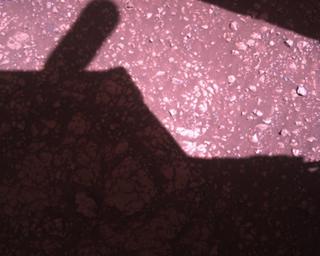 View image taken on Mars, Mars Perseverance Sol 1472: Rover Down-Look Camera