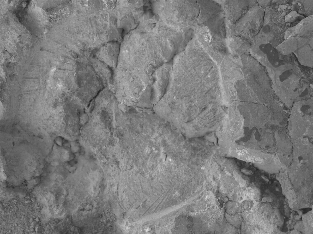 This image was taken by SHERLOC_WATSON onboard NASA's Mars rover Perseverance on Sol 1473