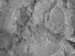 View image taken on Mars, Mars Perseverance Sol 1473: WATSON Camera 