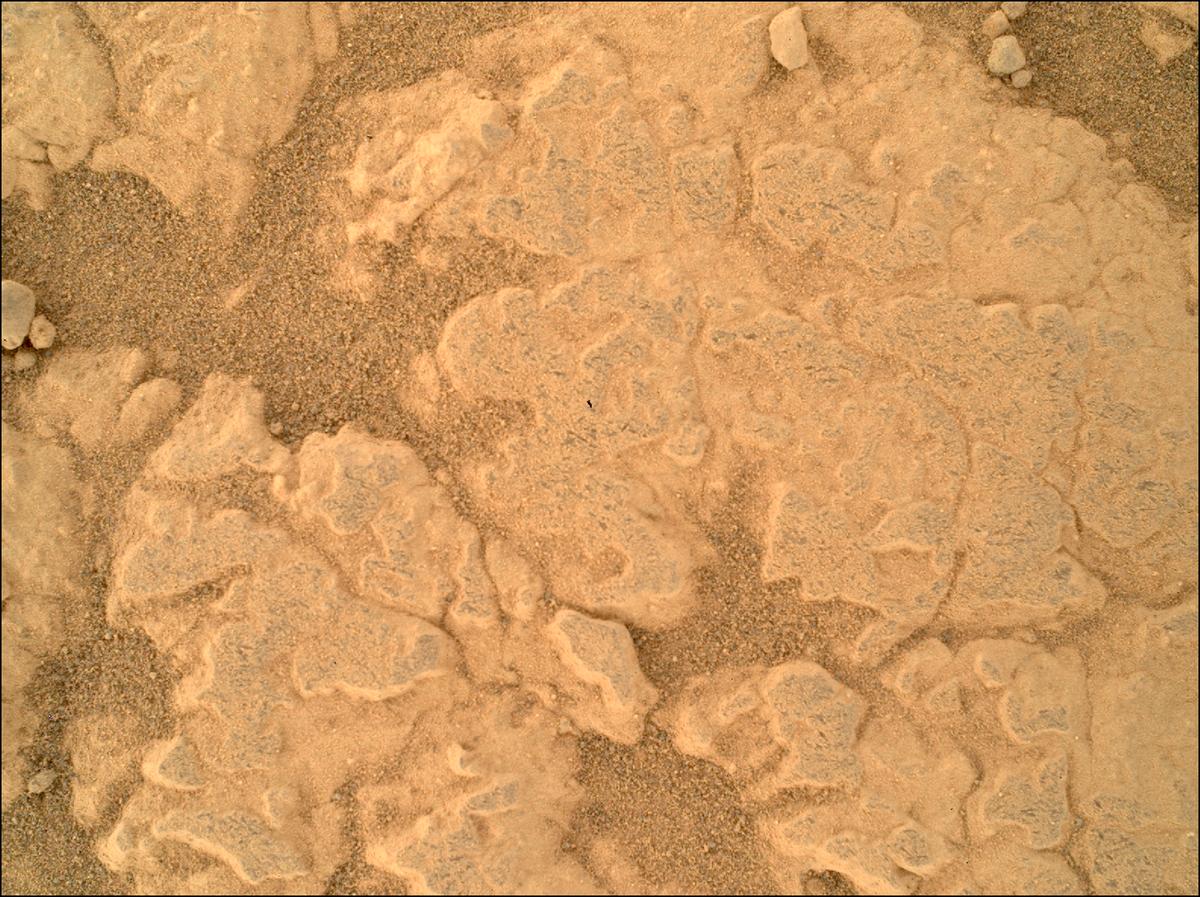 This image was taken by SHERLOC_WATSON onboard NASA's Mars rover Perseverance on Sol 1473