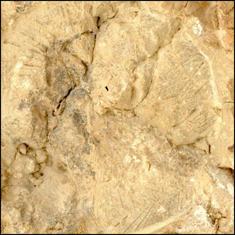 This image was taken by SHERLOC_WATSON onboard NASA's Mars rover Perseverance on Sol 1473