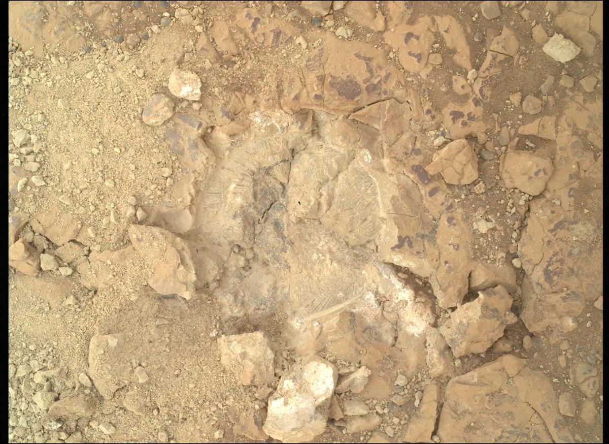 This image was taken by SHERLOC_WATSON onboard NASA's Mars rover Perseverance on Sol 1473
