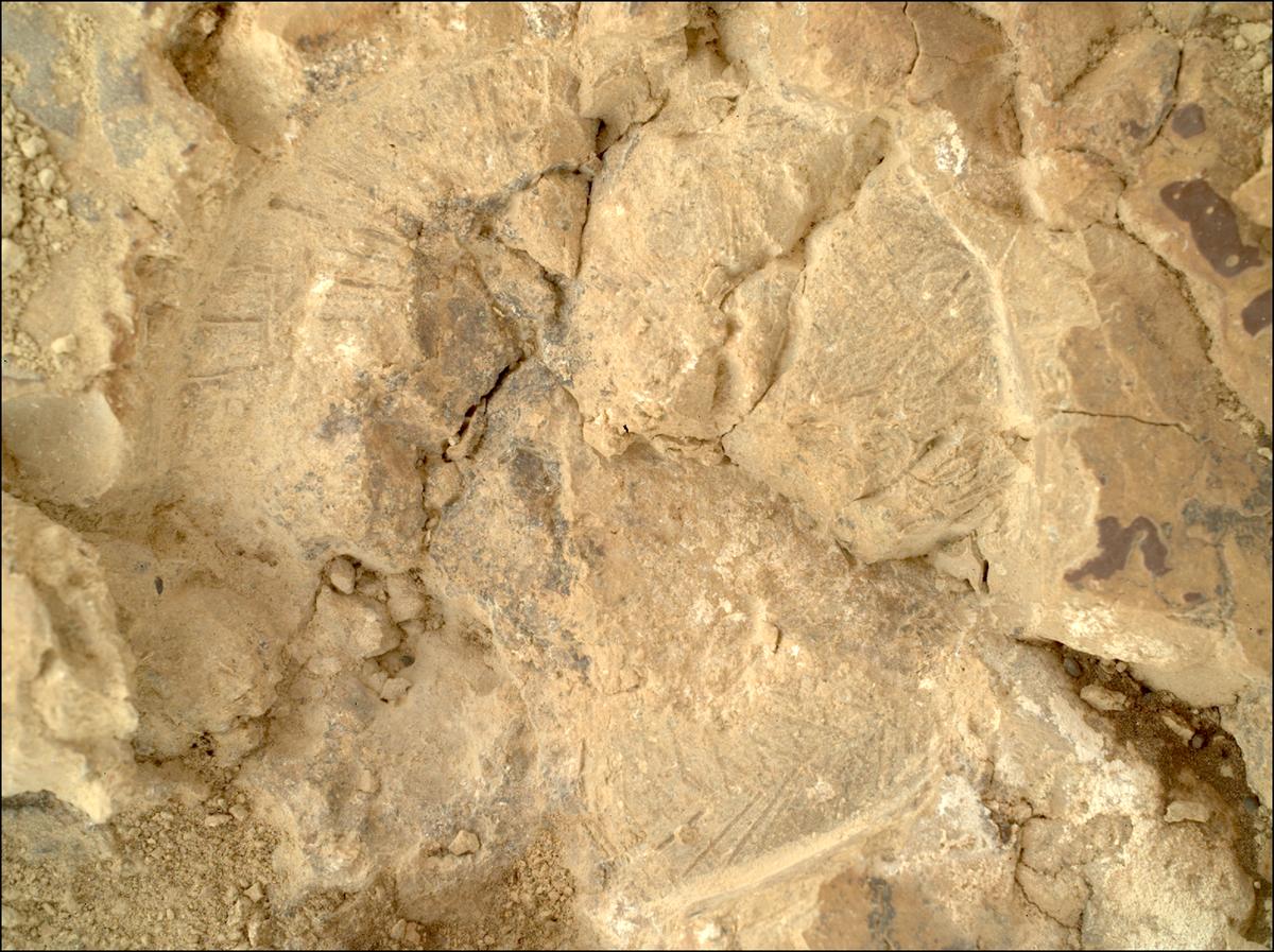 This image was taken by SHERLOC_WATSON onboard NASA's Mars rover Perseverance on Sol 1473