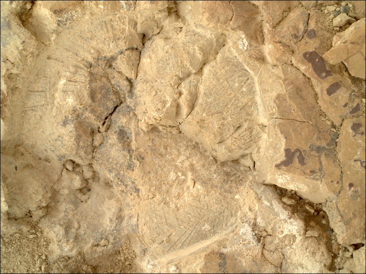 This image was taken by SHERLOC_WATSON onboard NASA's Mars rover Perseverance on Sol 1473