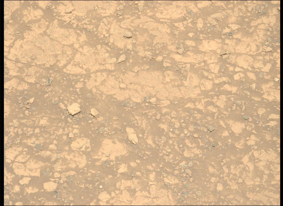 This image was taken by MCZ_LEFT onboard NASA's Mars rover Perseverance on Sol 1473