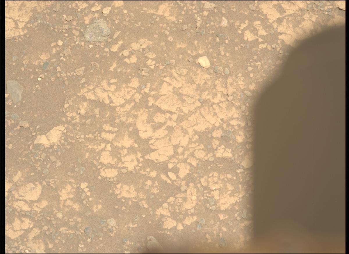 This image was taken by MCZ_LEFT onboard NASA's Mars rover Perseverance on Sol 1473