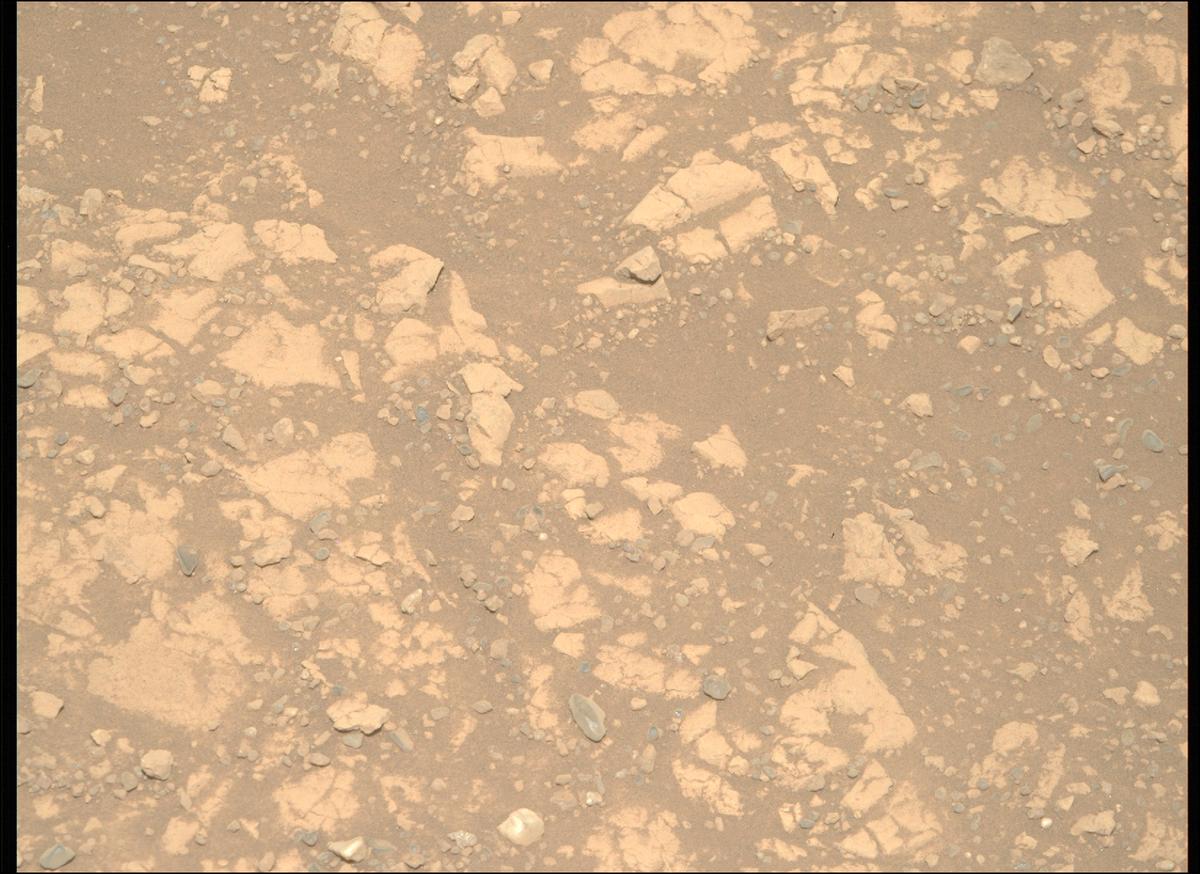 This image was taken by MCZ_RIGHT onboard NASA's Mars rover Perseverance on Sol 1473