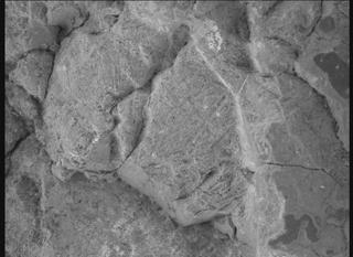 View image taken on Mars, Mars Perseverance Sol 1476: WATSON Camera 