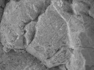 View image taken on Mars, Mars Perseverance Sol 1476: WATSON Camera 