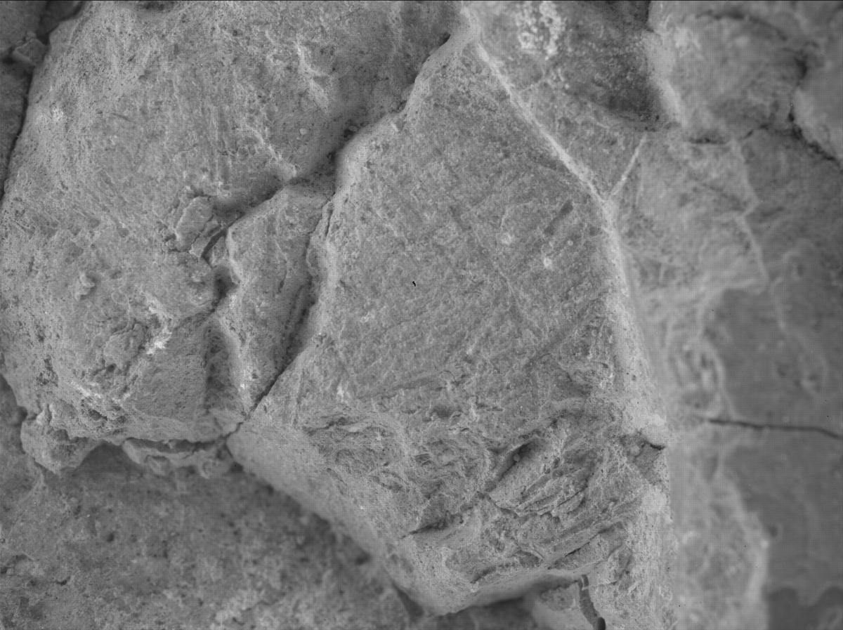 This image was taken by SHERLOC_WATSON onboard NASA's Mars rover Perseverance on Sol 1476