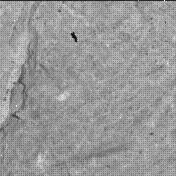 View image taken on Mars, Mars Perseverance Sol 1476: WATSON Camera 