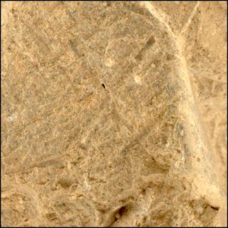View image taken on Mars, Mars Perseverance Sol 1476: WATSON Camera 