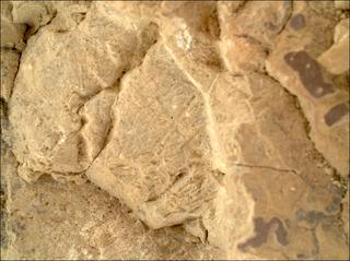 View image taken on Mars, Mars Perseverance Sol 1476: WATSON Camera 