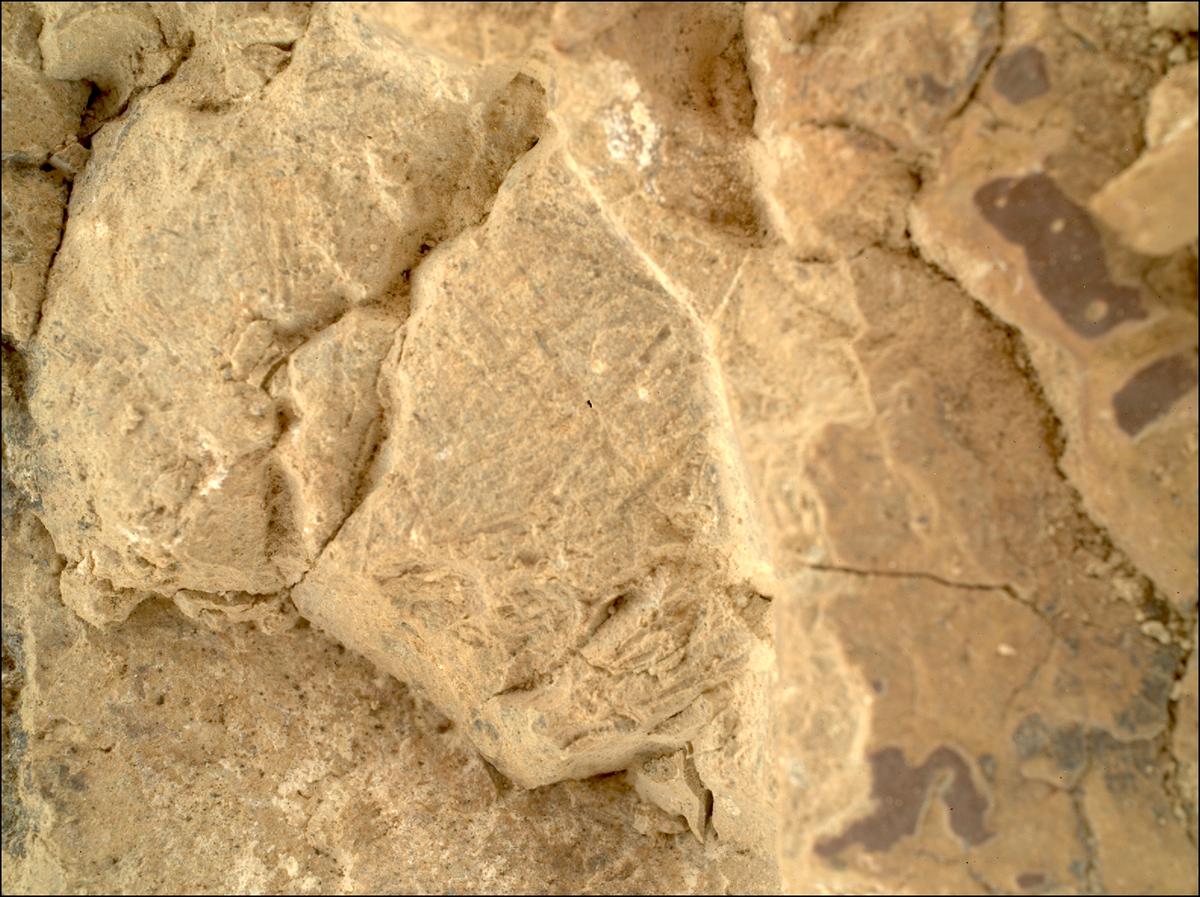 This image was taken by SHERLOC_WATSON onboard NASA's Mars rover Perseverance on Sol 1476