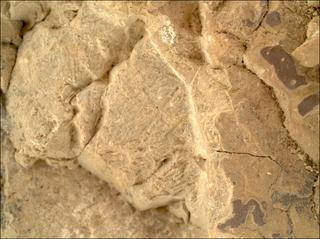 View image taken on Mars, Mars Perseverance Sol 1476: WATSON Camera 