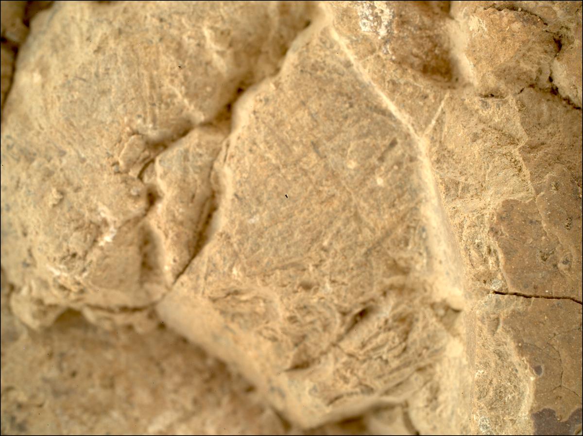 This image was taken by SHERLOC_WATSON onboard NASA's Mars rover Perseverance on Sol 1476