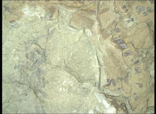 View image taken on Mars, Mars Perseverance Sol 1476: WATSON Camera 