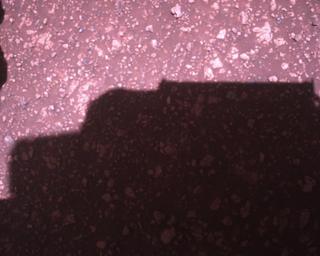 View image taken on Mars, Mars Perseverance Sol 1477: Rover Down-Look Camera