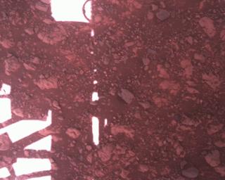 View image taken on Mars, Mars Perseverance Sol 1477: Rover Down-Look Camera