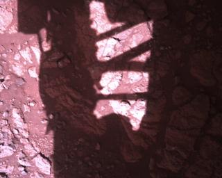 View image taken on Mars, Mars Perseverance Sol 1477: Rover Down-Look Camera