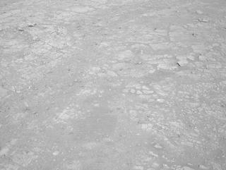 View image taken on Mars, Mars Perseverance Sol 1477: Left Navigation Camera (Navcam)