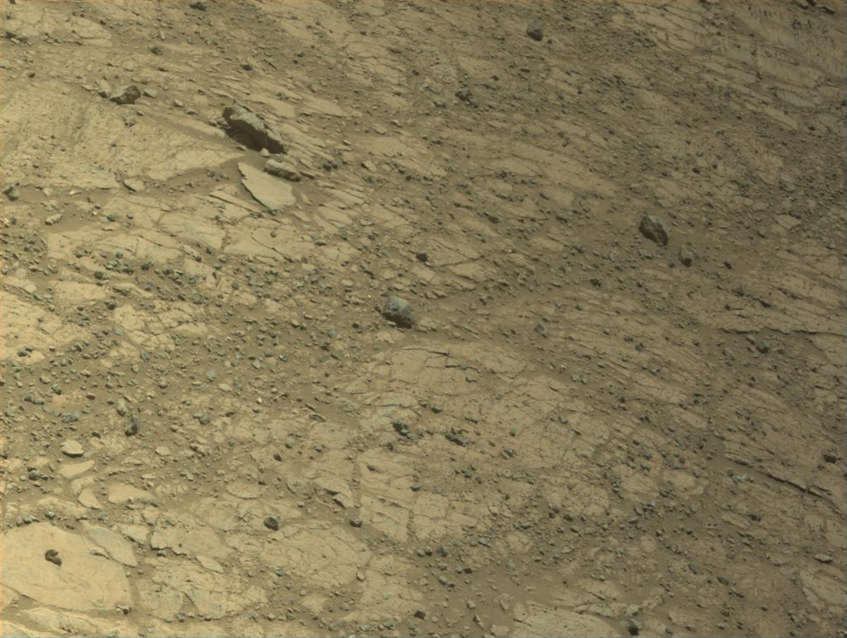 This image was taken by NAVCAM_LEFT onboard NASA's Mars rover Perseverance on Sol 1478