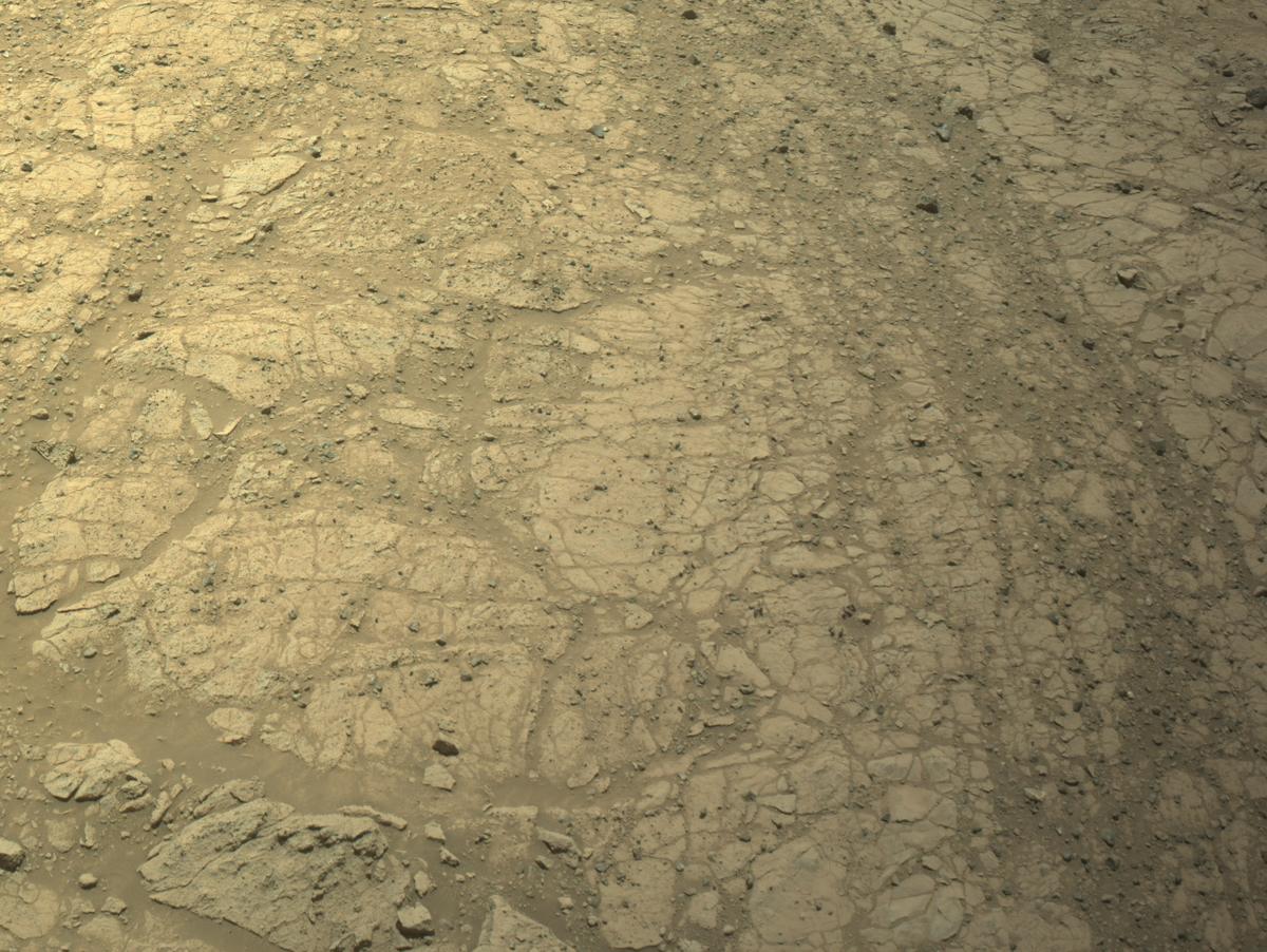 This image was taken by NAVCAM_RIGHT onboard NASA's Mars rover Perseverance on Sol 1478