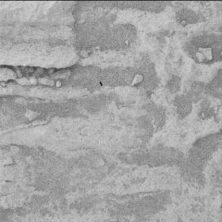 View image taken on Mars, Mars Perseverance Sol 1479: WATSON Camera 