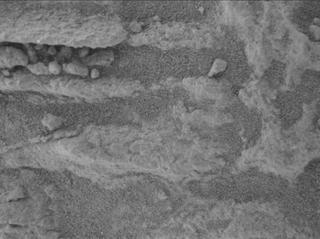 View image taken on Mars, Mars Perseverance Sol 1479: WATSON Camera 